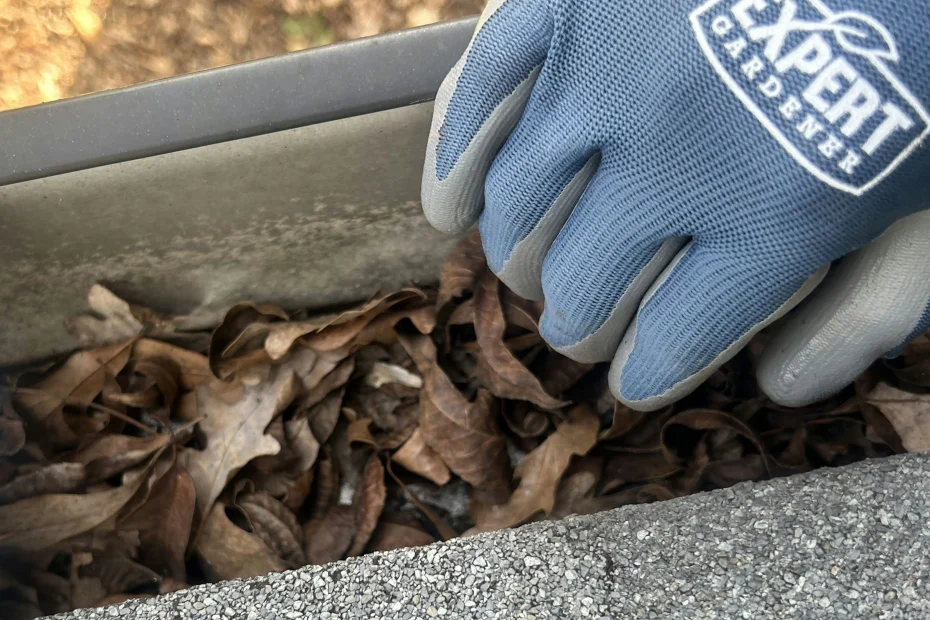 Gutter Cleaning Dunedin FL