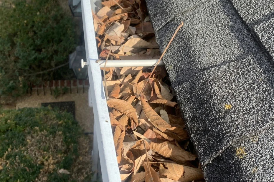 Gutter Cleaning Dunedin FL