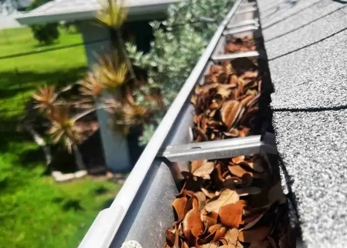 Gutter Cleaning Dunedin FL home page